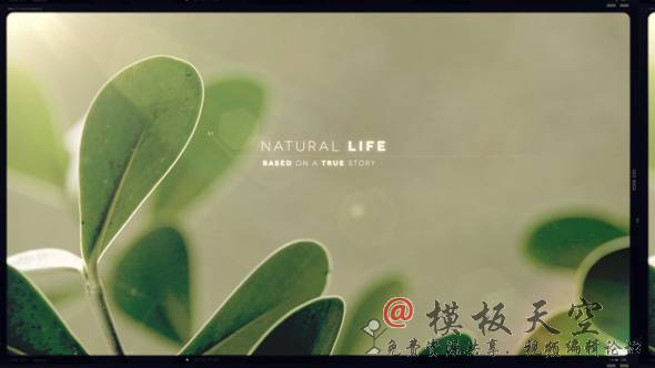 natural_life_01.jpg